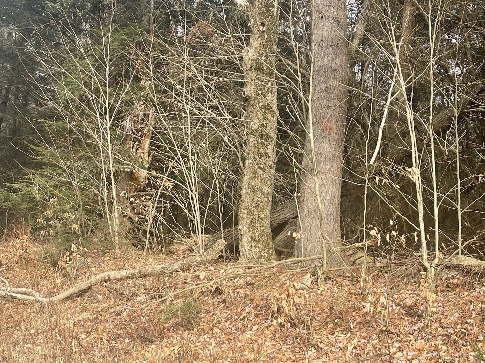 Lot 27 Hartland Road Tolland, MA 01034 - Photo 3 of 4 Gallery Image 3