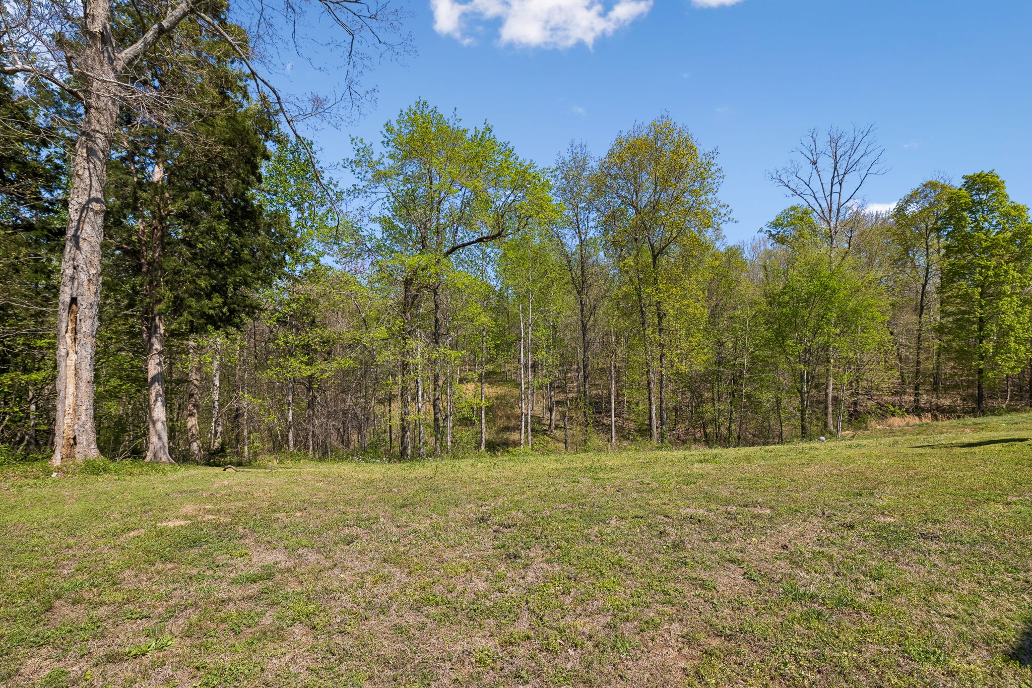 3084 Bowker Road Charlotte, TN 37036 - Photo 42 of 43