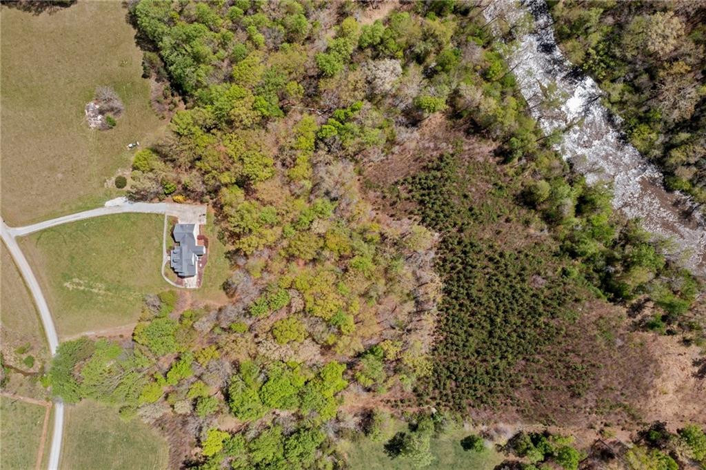 325 Onie Burton Road Rougemont, NC 27572 - Photo 32 of 35 Gallery Image 32