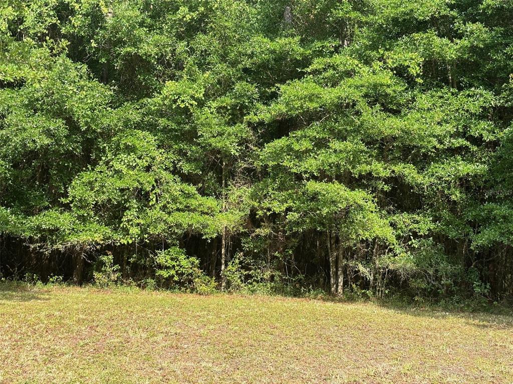 6038 Northwest 90th Street Gainesville, FL 32606 - Photo 3 of 7