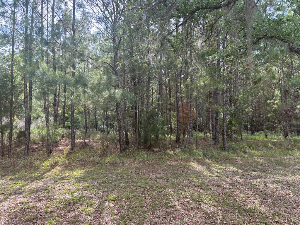 6038 Northwest 90th Street Gainesville, FL 32606 - Photo 4 of 7