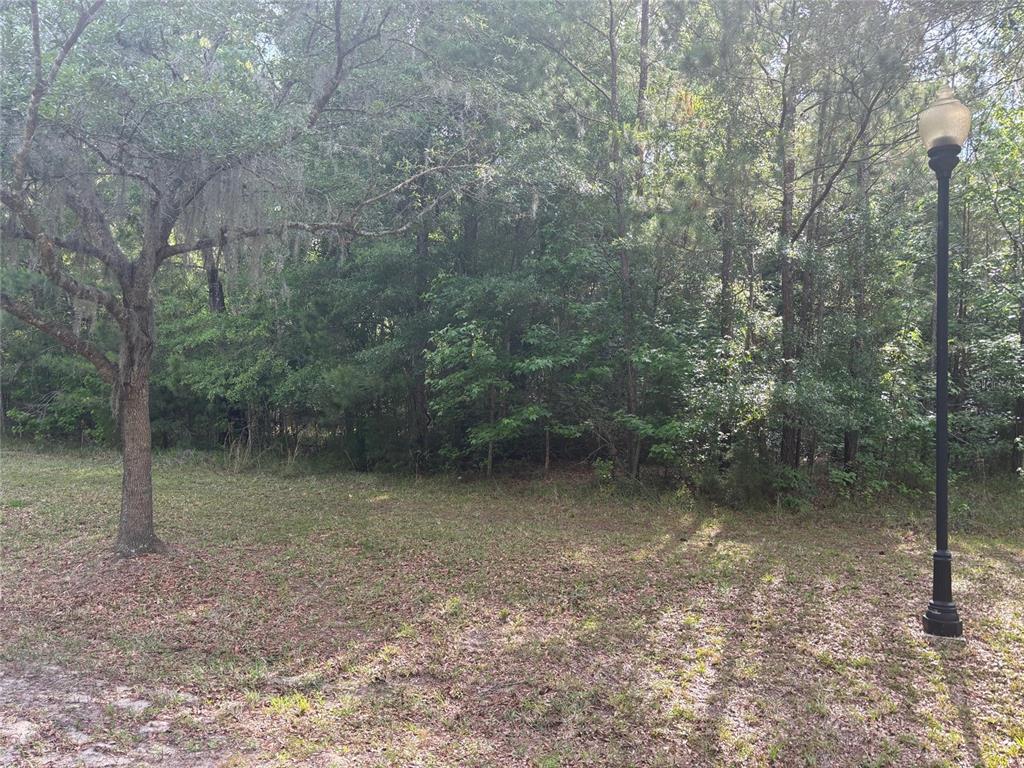 6038 Northwest 90th Street Gainesville, FL 32606 - Photo 6 of 7