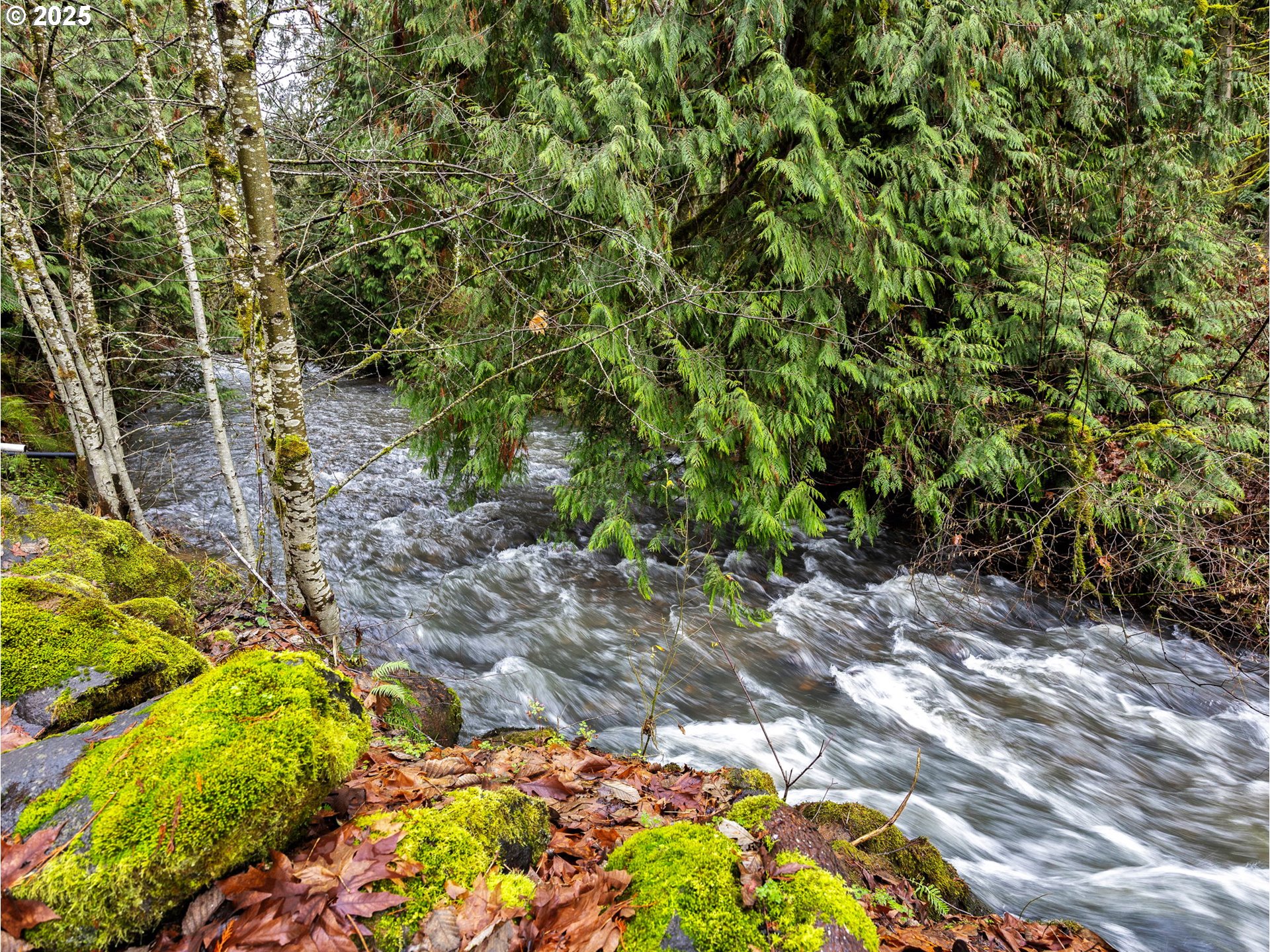 32700 Southeast Leewood Lane, Unit 31 Boring, OR 97009 - Photo 33 of 47