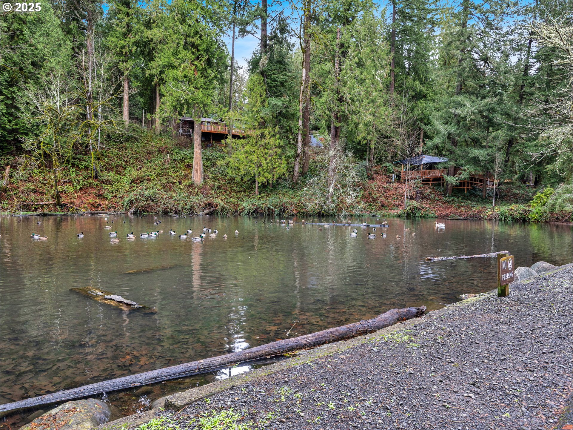 32700 Southeast Leewood Lane, Unit 31 Boring, OR 97009 - Photo 38 of 47