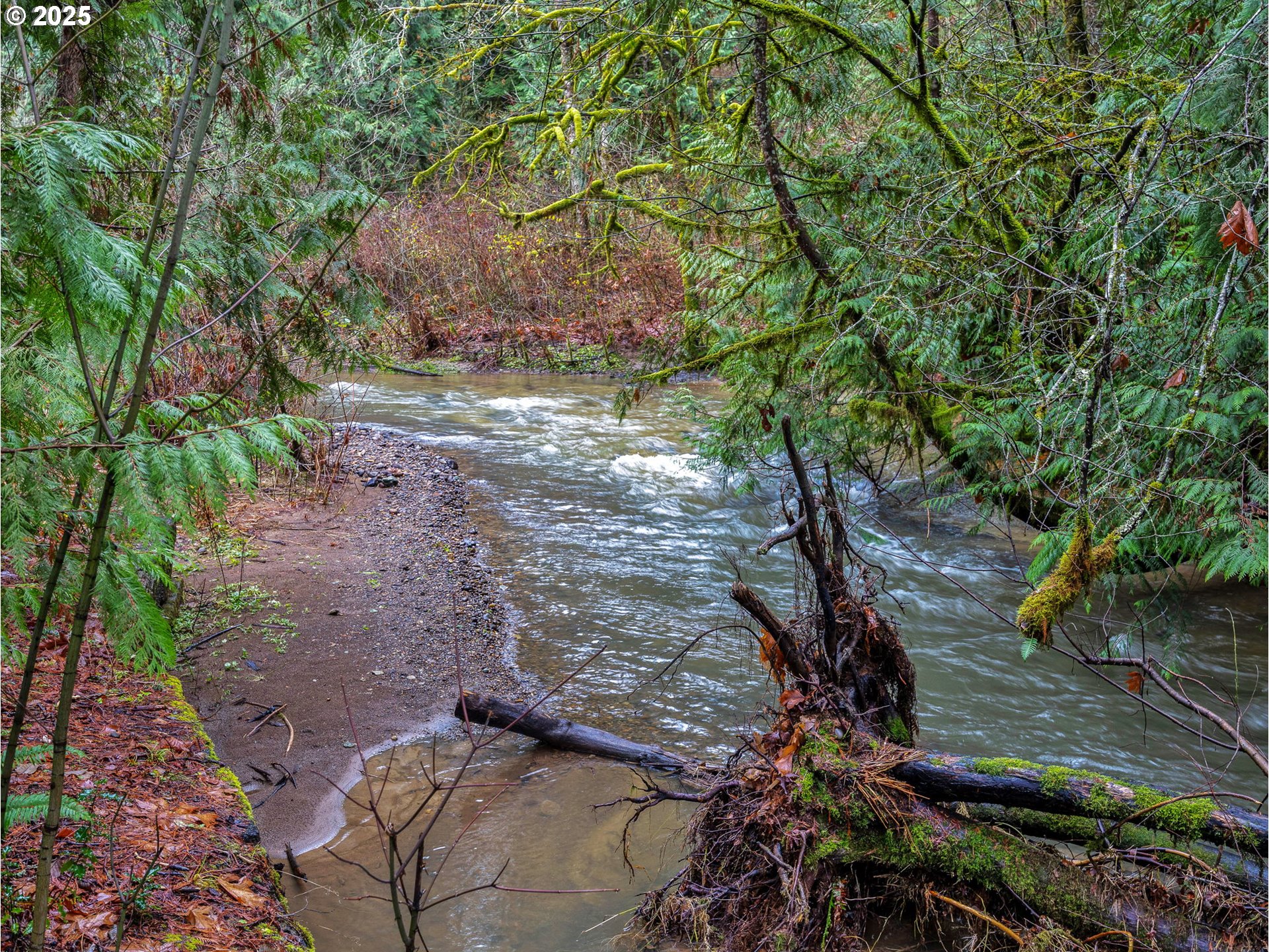 32700 Southeast Leewood Lane, Unit 31 Boring, OR 97009 - Photo 41 of 47