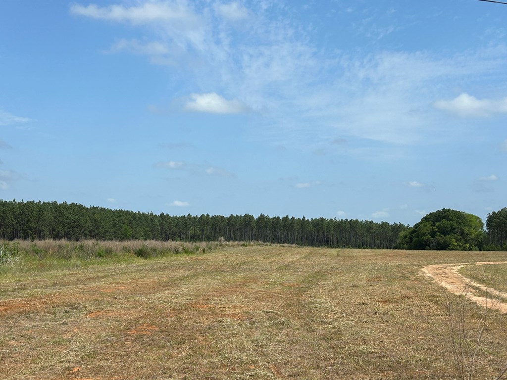 10907-44 -ac) Cty Road Hartford, AL 36344 - Photo 9 of 52