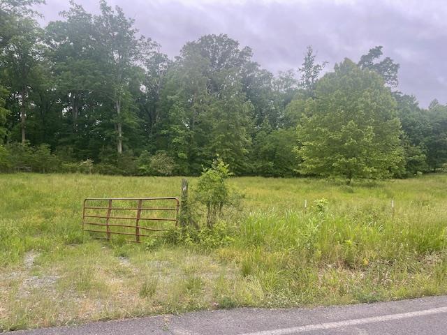 0 Old Prater Ml Road Northeast Dalton, GA 30721 - Photo 1 of 1 Main View