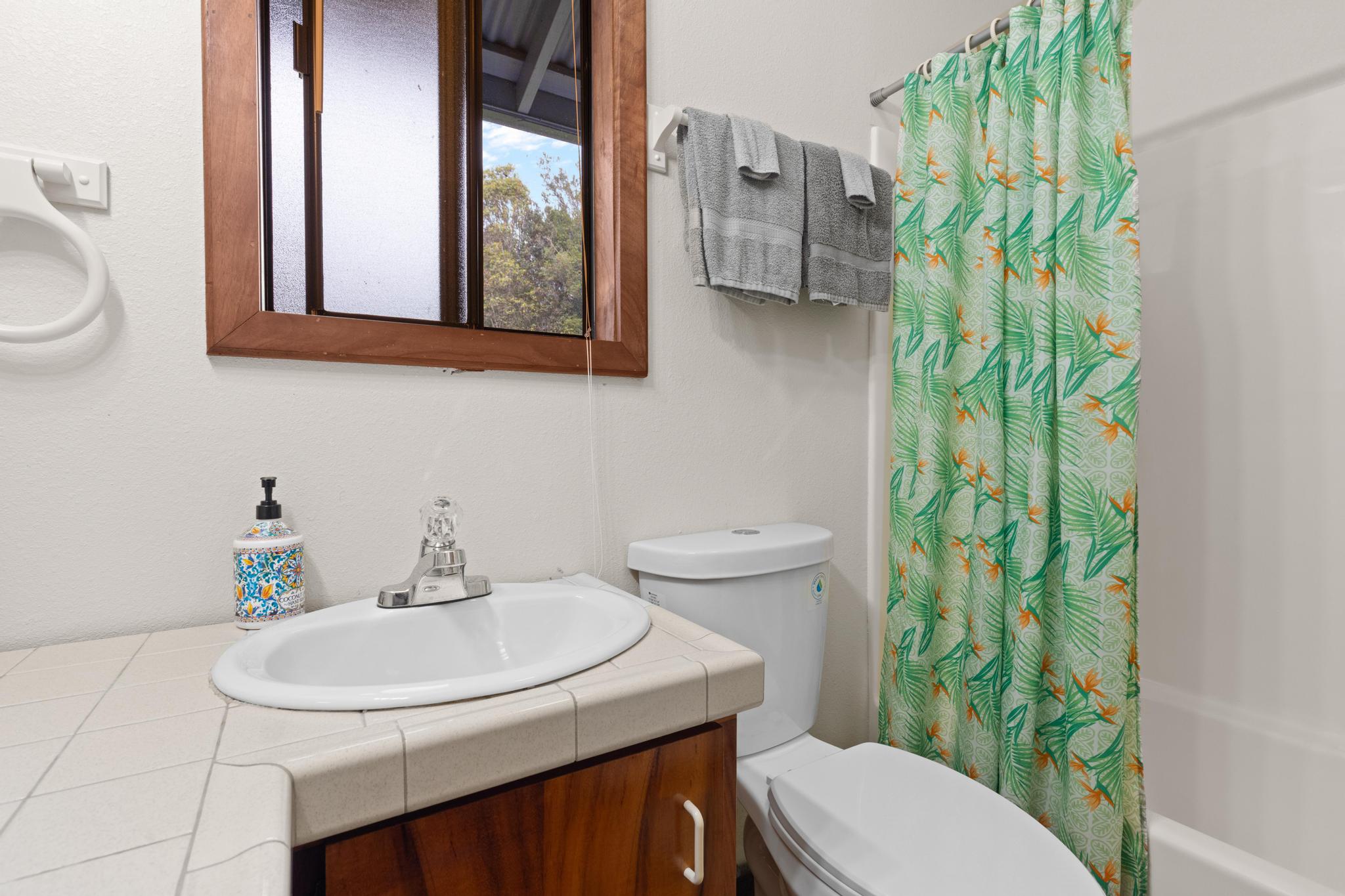 99-1817 Painiu Loop Volcano, HI 96785 - Photo 18 of 30 a bathroom with a sink a toilet and a mirror