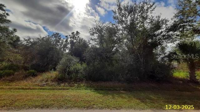 29371 Pontico Street Punta Gorda, FL 33982 - Photo 1 of 3 a view of outdoor space and yard