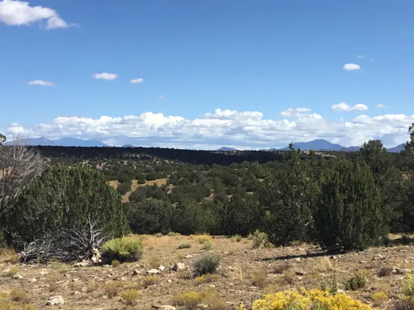 $23,500 | 6708 West Painted Rock Trail, Williams, AZ 86046