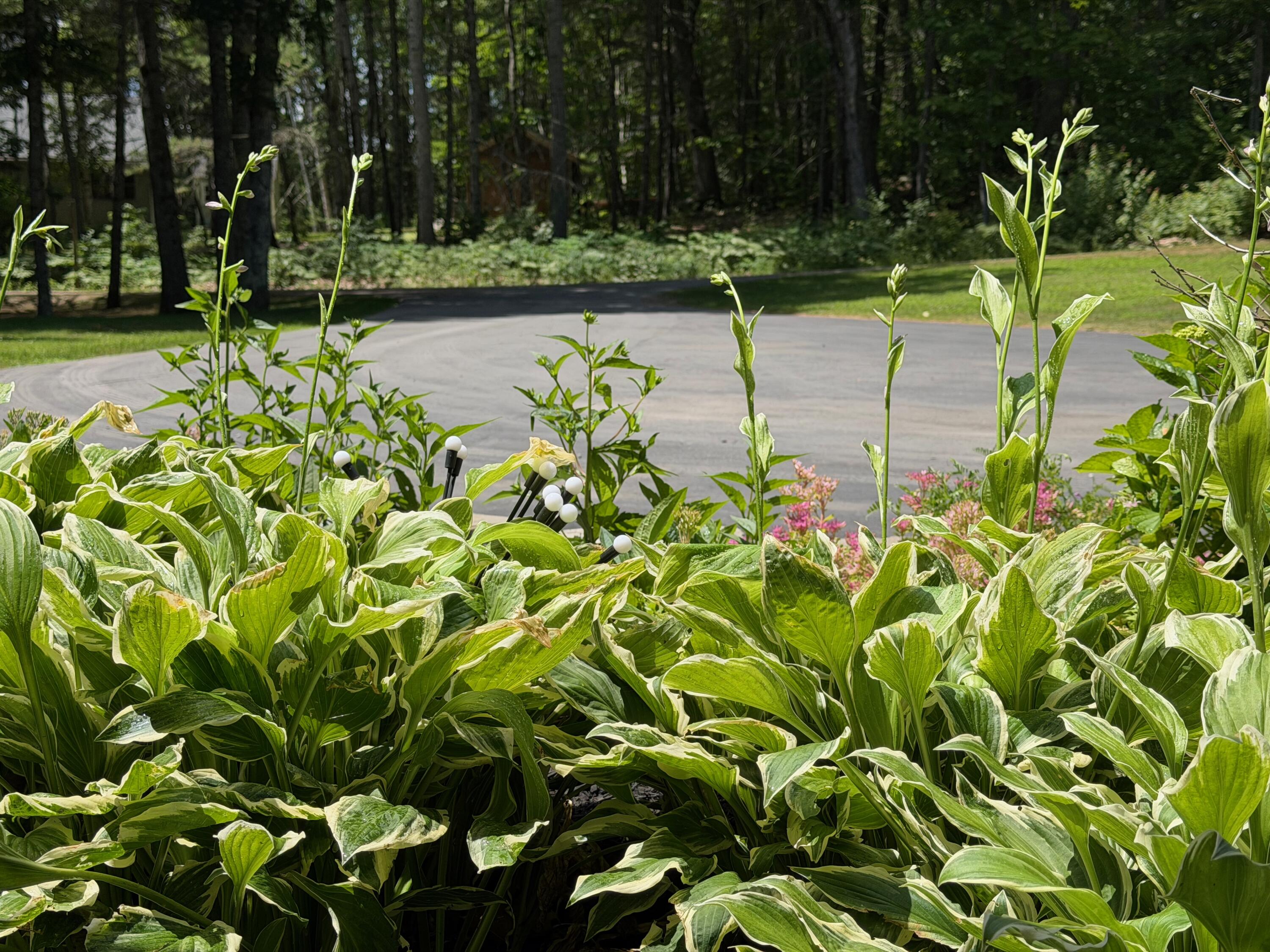 15 Porcupine Ridge Road Bremen, ME 04551 - Photo 75 of 79 IMG_0331