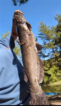 $75,000 | 53-57 Wolf Drive, Mound City, KS 66056