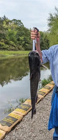 $75,000 | 53-57 Wolf Drive, Mound City, KS 66056