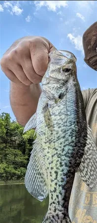 $75,000 | 53-57 Wolf Drive, Mound City, KS 66056