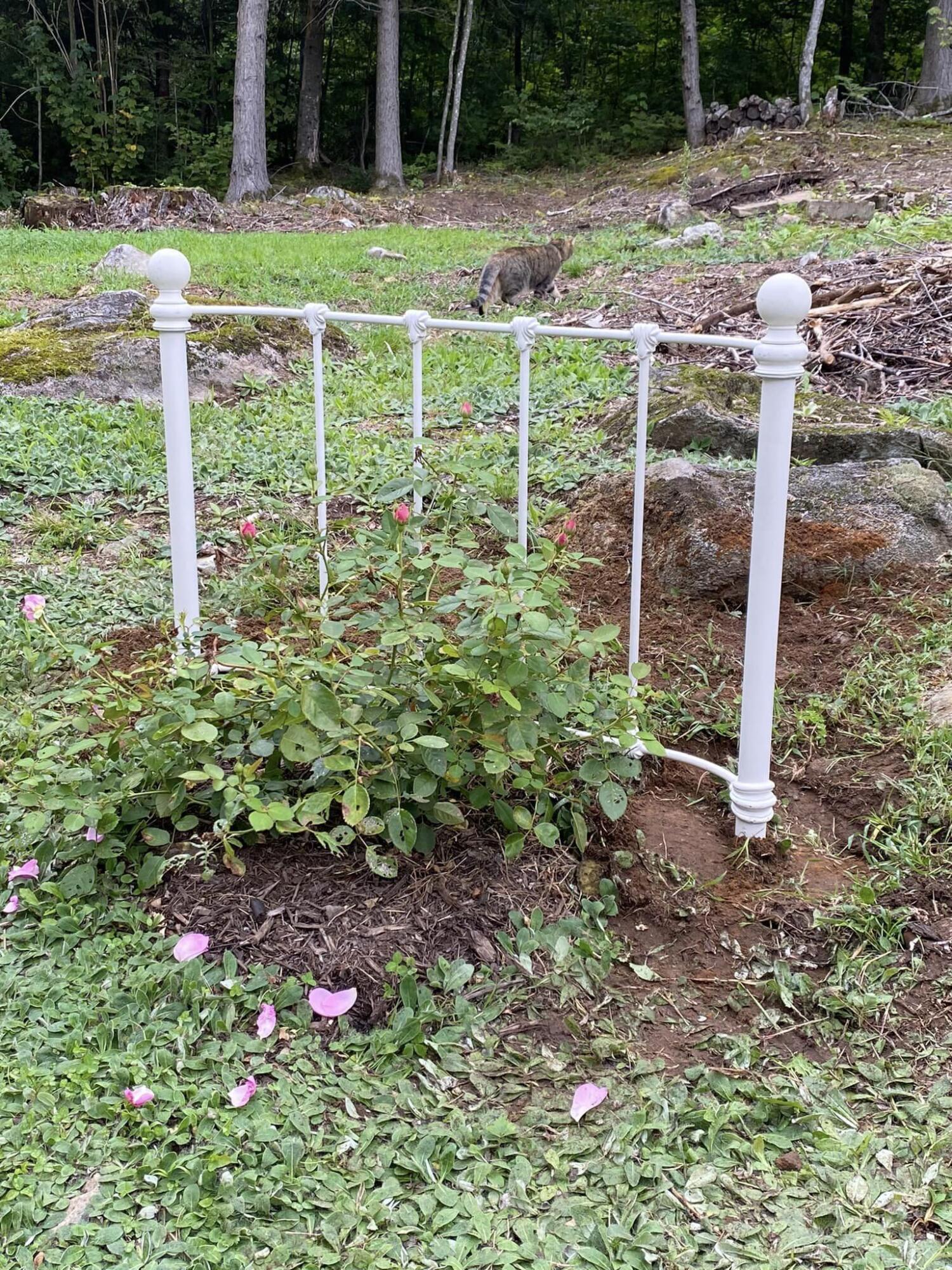 72 Poplar Hill Road Mexico, ME 04257 - Photo 24 of 25 24