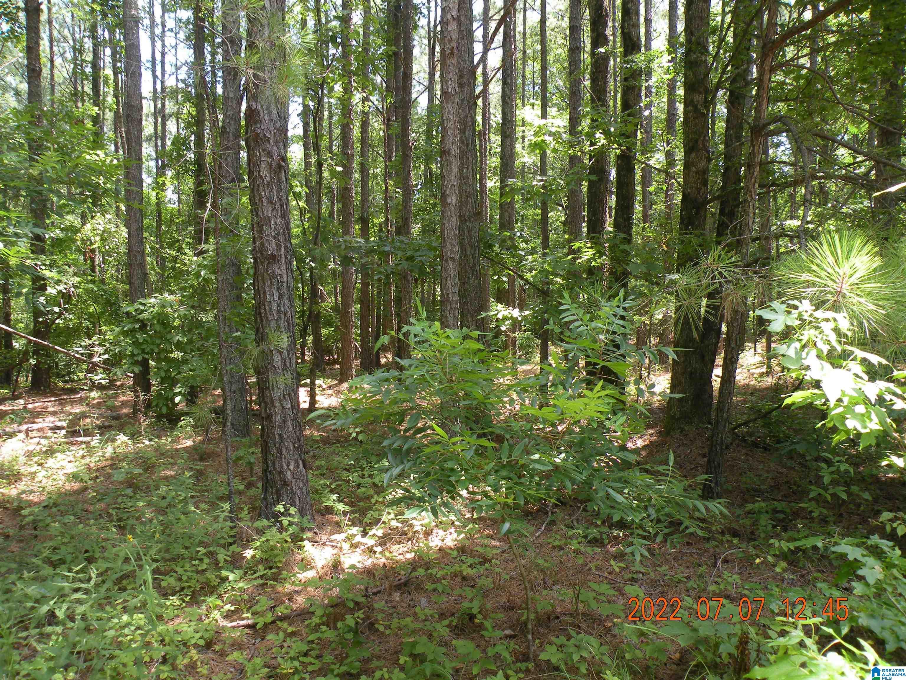 Burrows Crossing, Unit 1 Jasper, AL 35504 - Photo 1 of 1