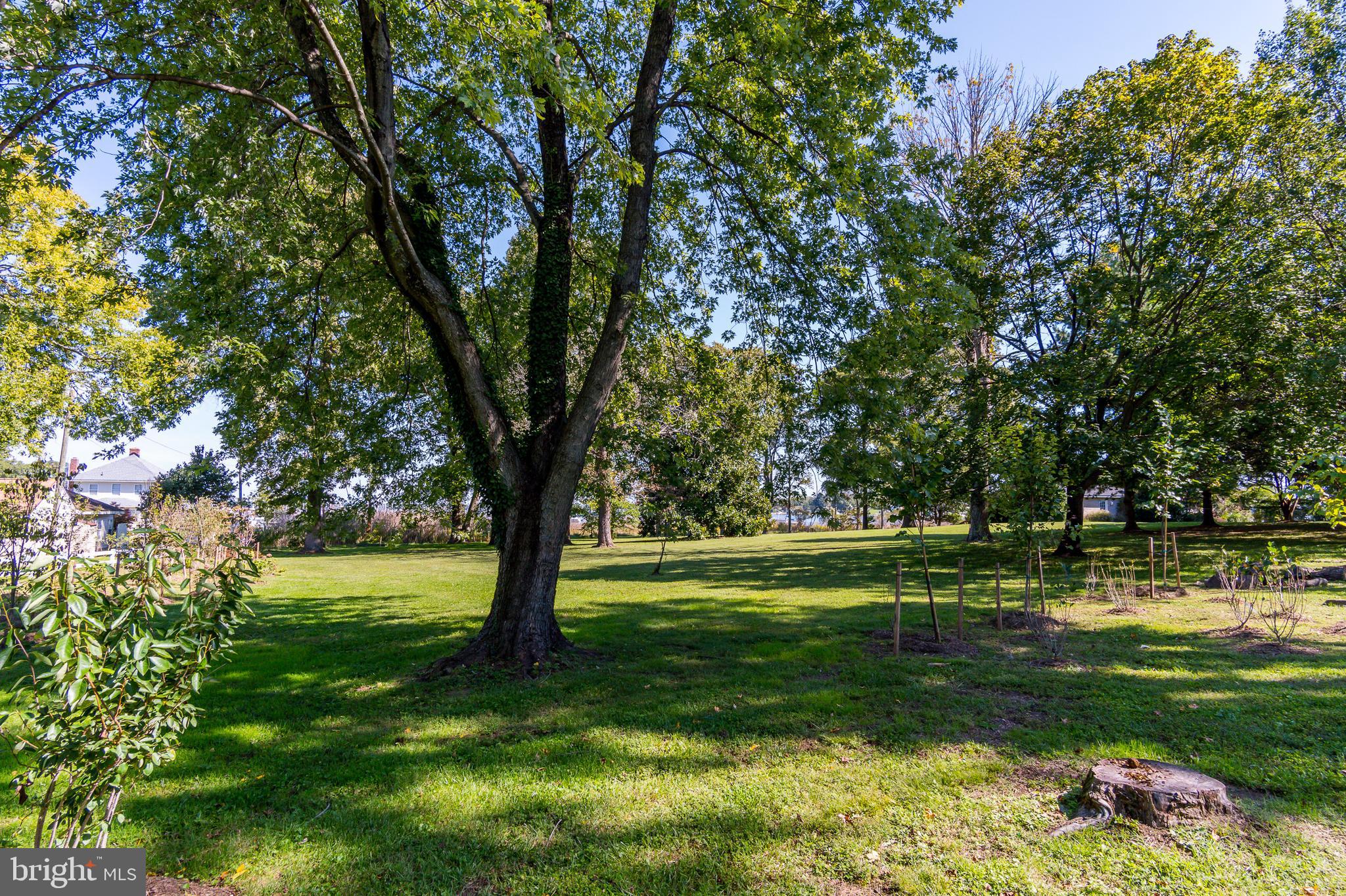1035 Old Turkey Point Road Edgewater, MD 21037 - Photo 31 of 32 Gallery Image 31