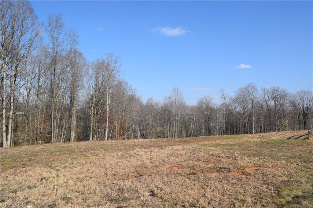 4.489-ac Lowe Road Madison, NC 27025 - Photo 1 of 6
