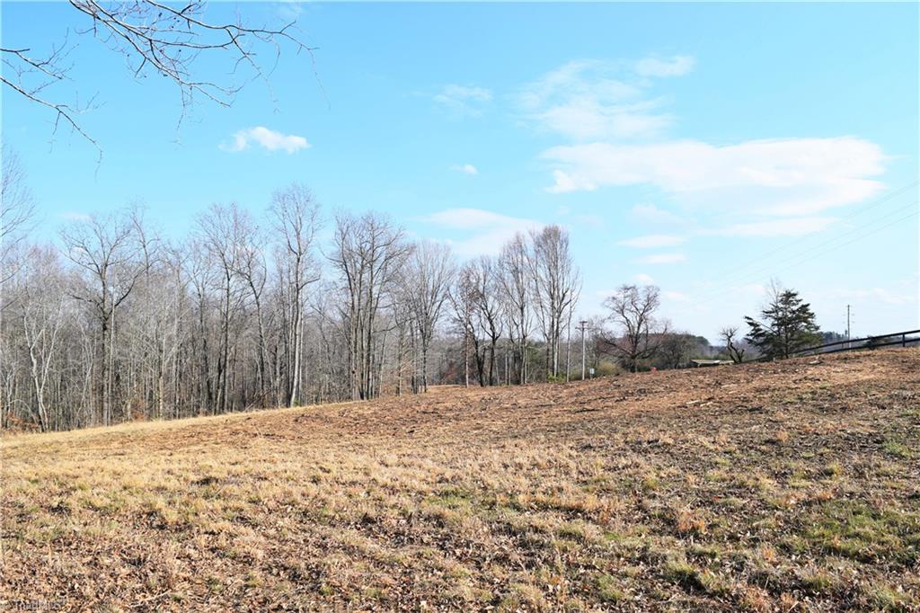 4.489-ac Lowe Road Madison, NC 27025 - Photo 3 of 6