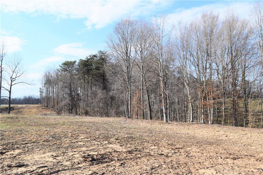 4.489-ac Lowe Road Madison, NC 27025 - Photo 4 of 6