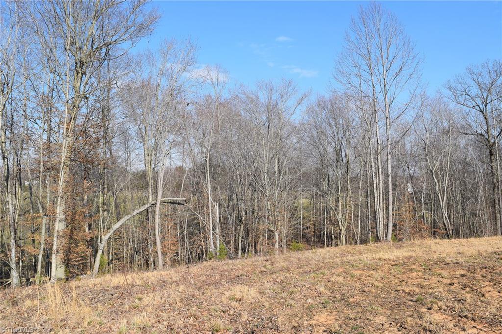 4.489-ac Lowe Road Madison, NC 27025 - Photo 5 of 6