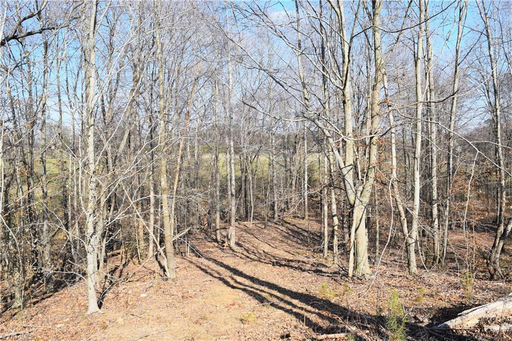 4.489-ac Lowe Road Madison, NC 27025 - Photo 6 of 6