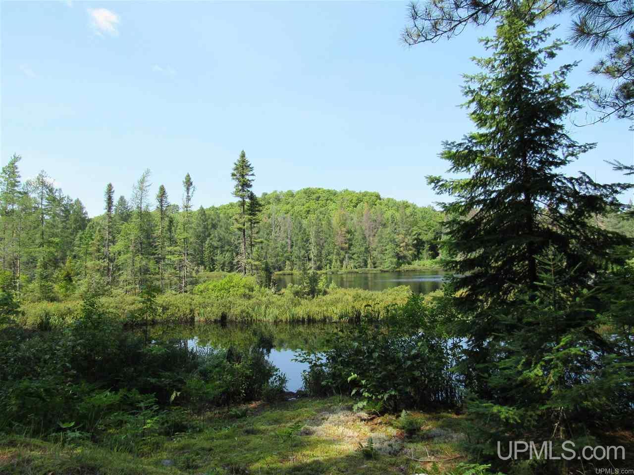 Tbd Berry Road Michigamme, MI 49861 - Photo 9 of 17