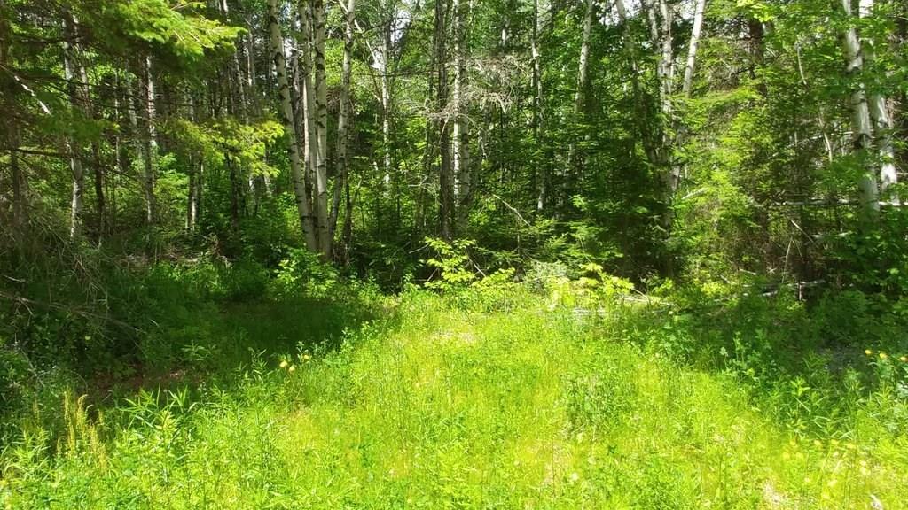 Off Jackins Settlement Road Orient, ME 04471 - Photo 23 of 25 Photo