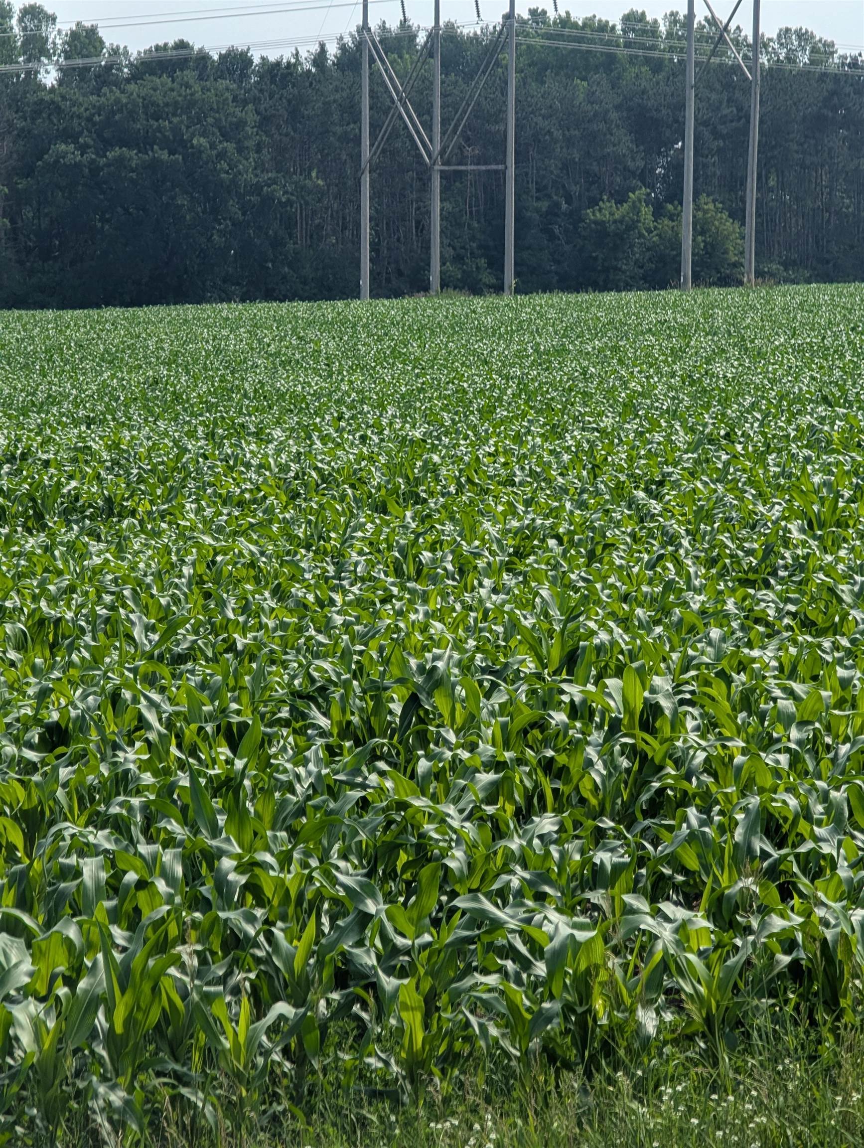 Buelow Road, Unit 2 New London, WI 54961 - Photo 2 of 7