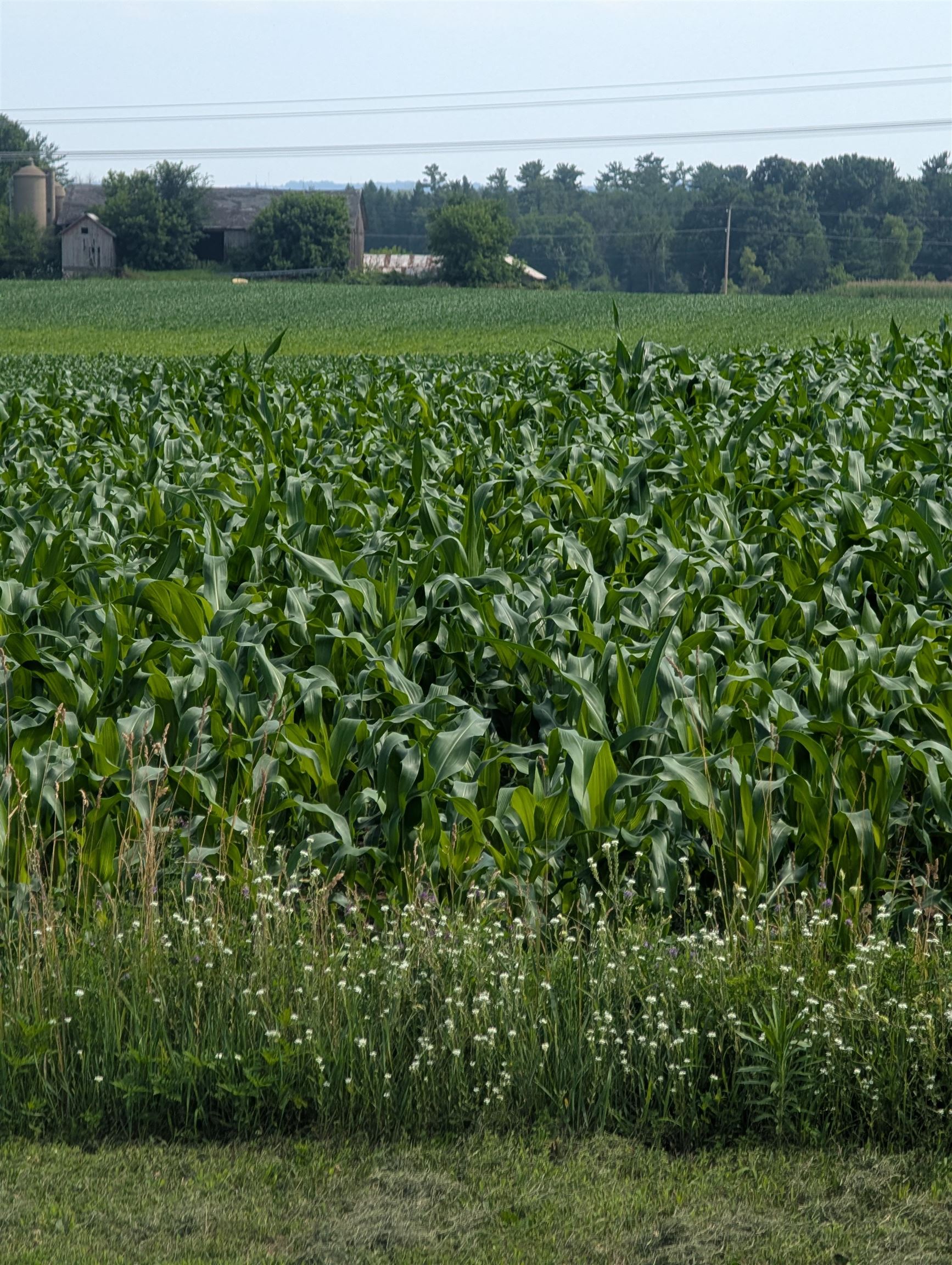 Buelow Road, Unit 2 New London, WI 54961 - Photo 3 of 7