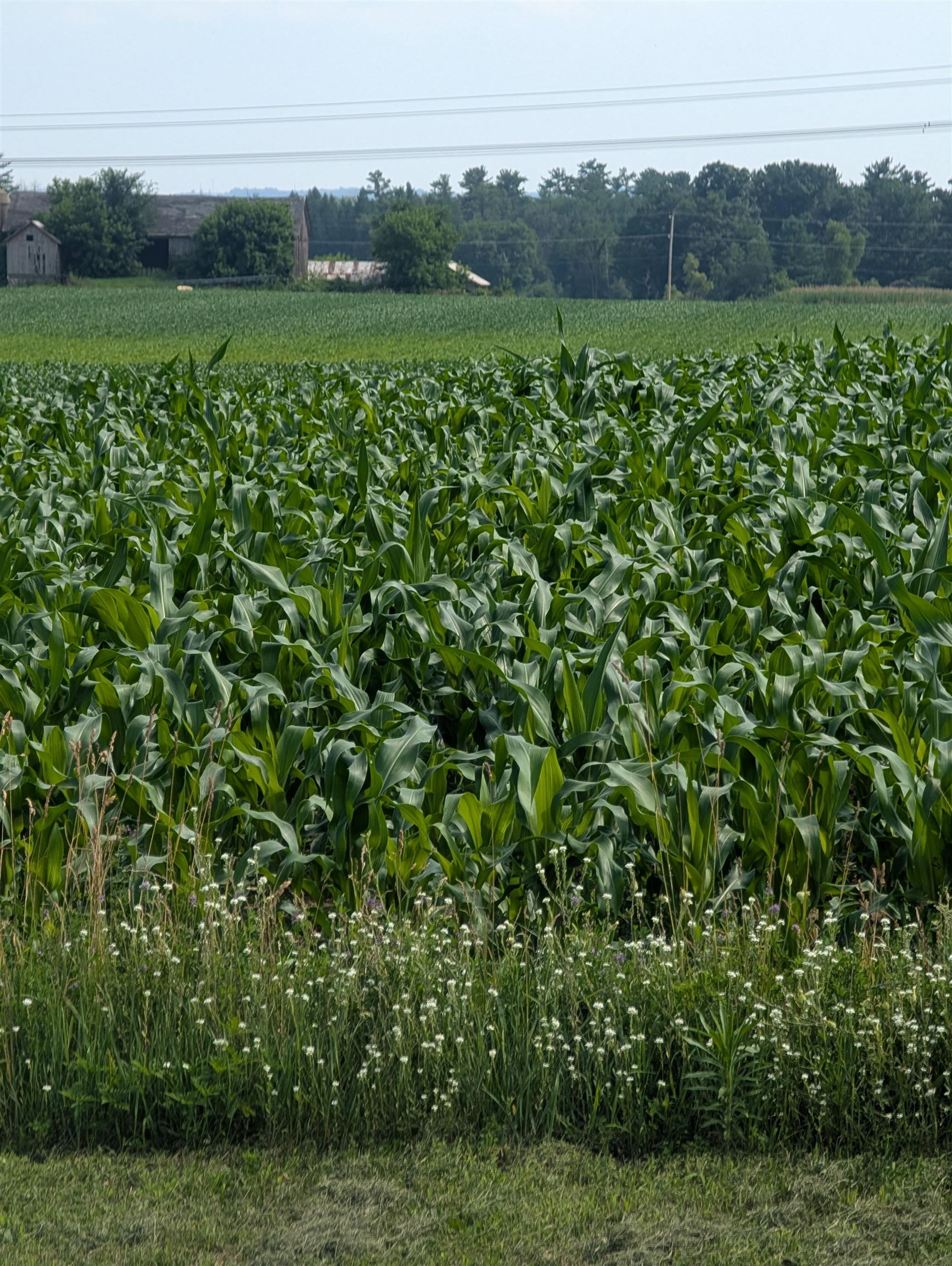 Buelow Road, Unit 2 New London, WI 54961 - Photo 4 of 7