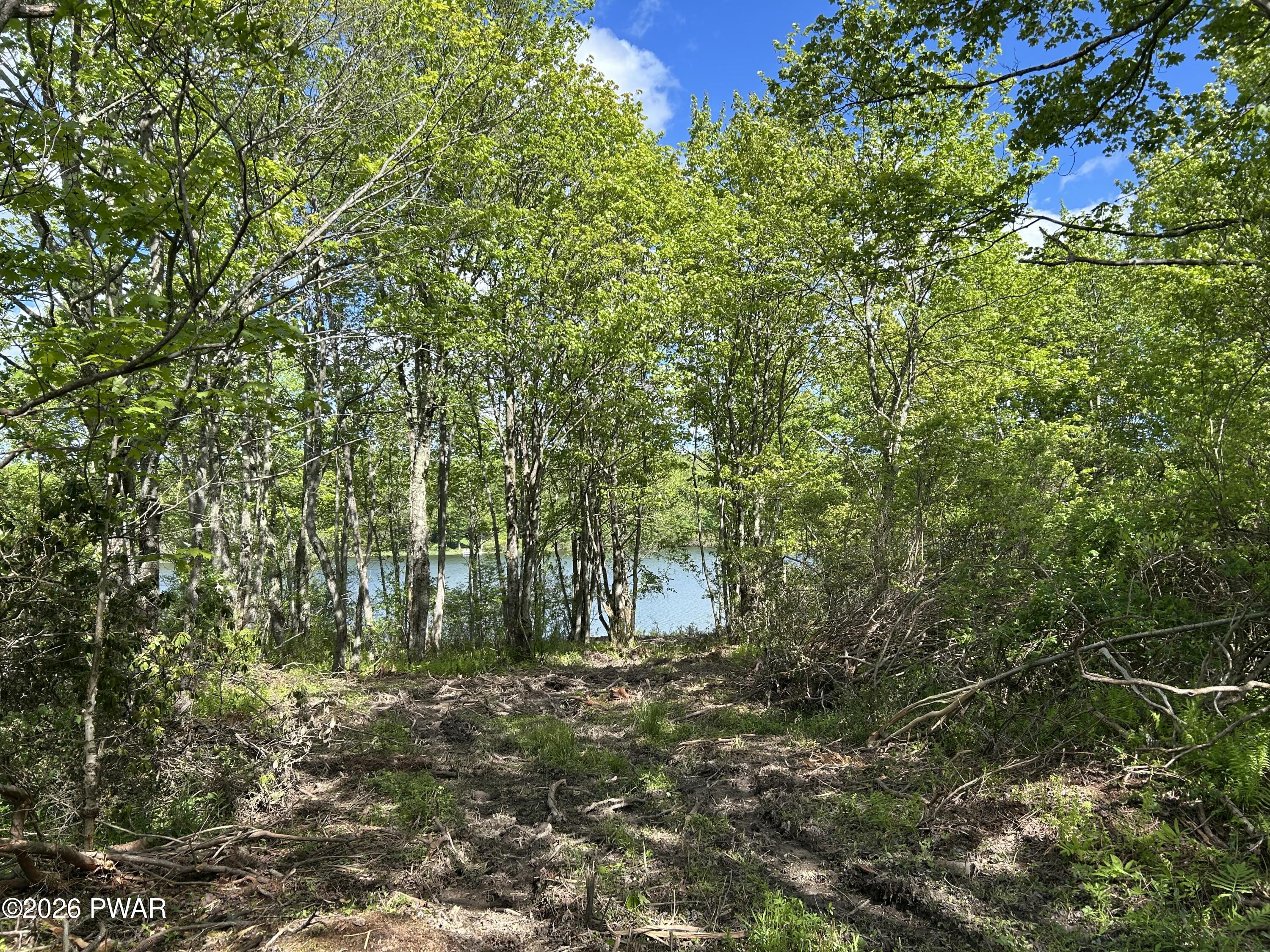 Lot R-c3 Spruce Lake Road Thompson, PA 18465 - Photo 16 of 17