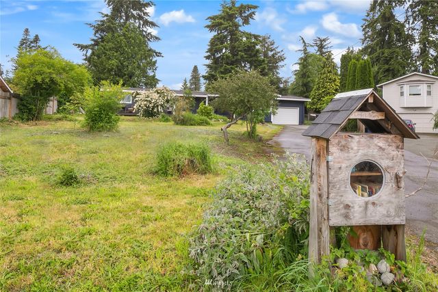 a view of a garden with plants