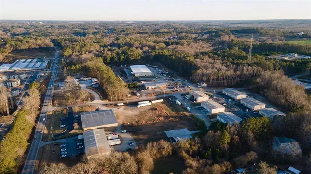 a view of a tree in a yard
