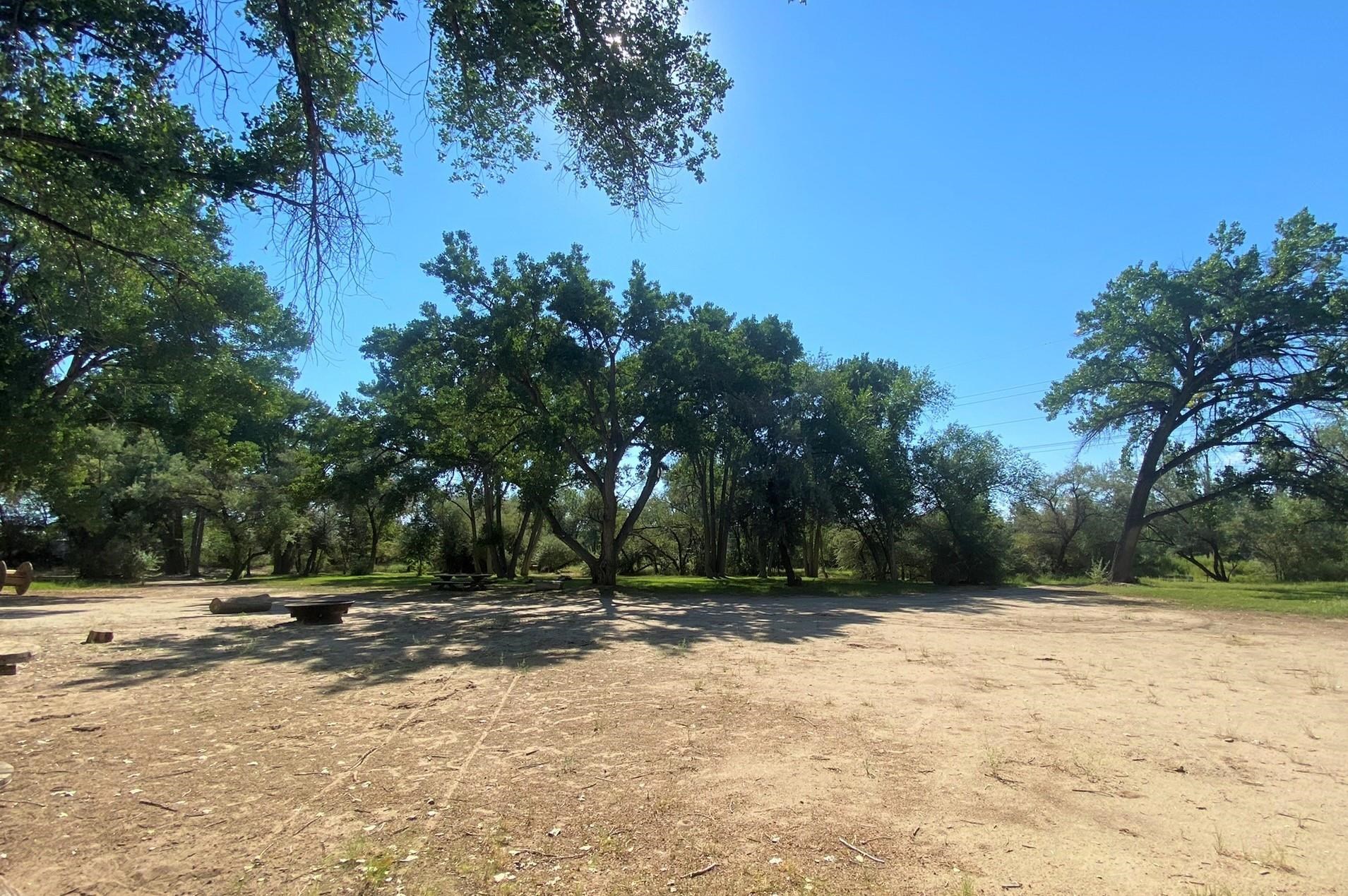 171 Lake Road Grand Junction, CO 81507 - Photo 4 of 11 a view of outdoor space with trees