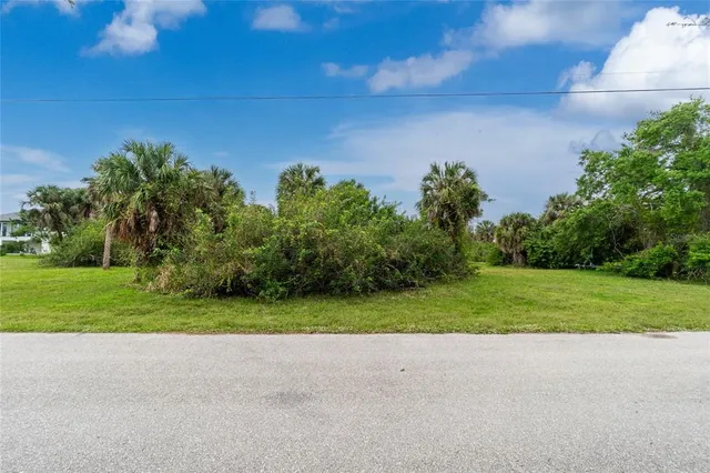 a backyard of a house with plants and large trees