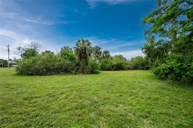 a view of a field of grass and trees