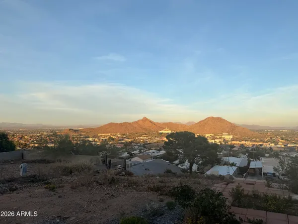 an aerial view of houses covered in trees