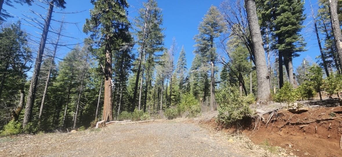 0 Roaring Ridge Road Montgomery Creek, CA 96065 - Photo 5 of 6 Gallery Image 5