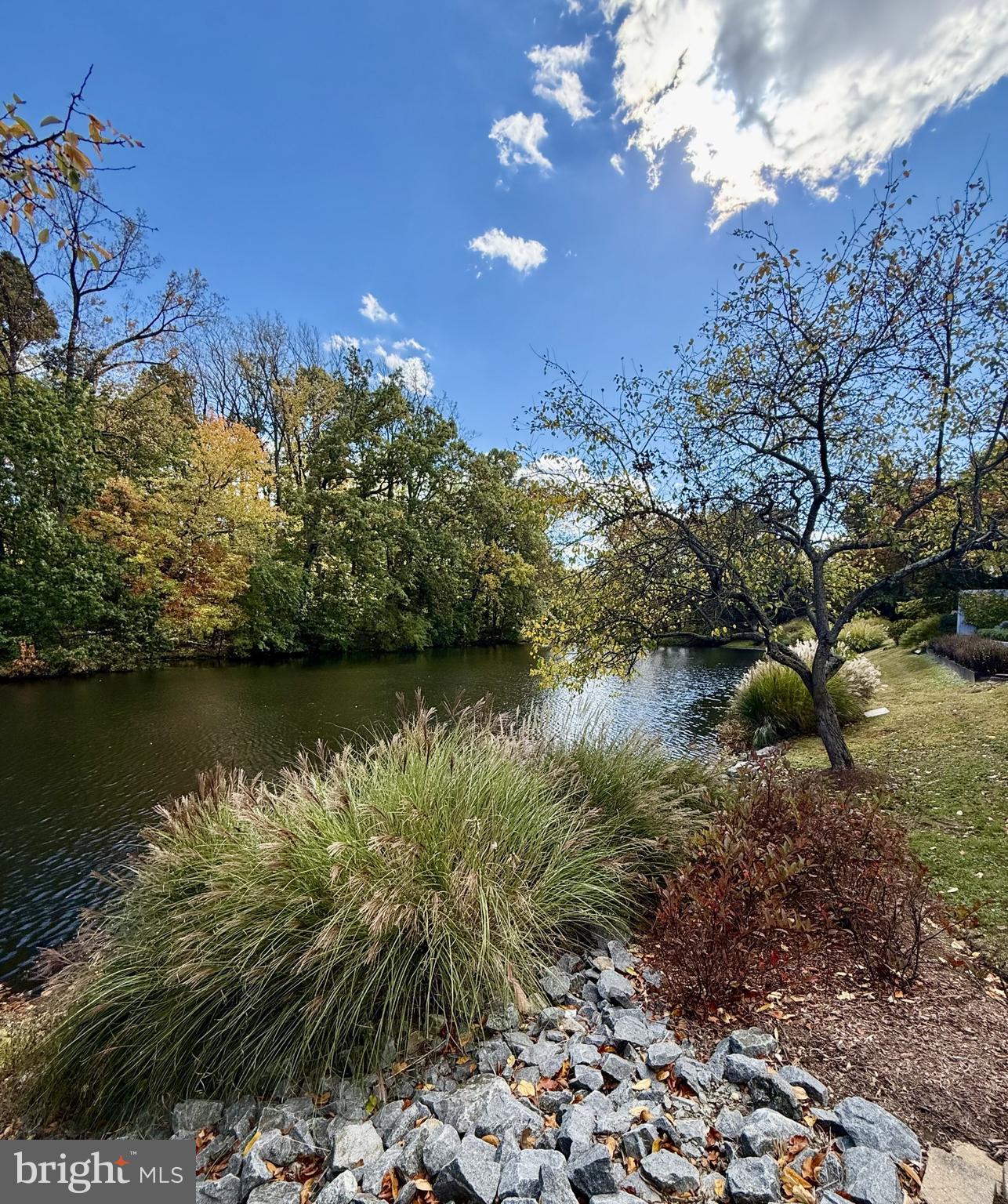 7252 Evans Mill Road McLean, VA 22101 - Photo 63 of 89 Relax by the pond