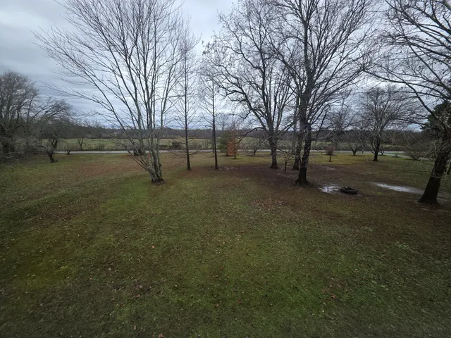 a view of dirt yard with a trees