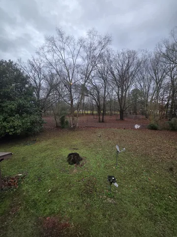 a backyard of a house with lots of green space