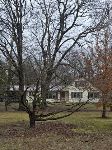 a white house covered with tall trees