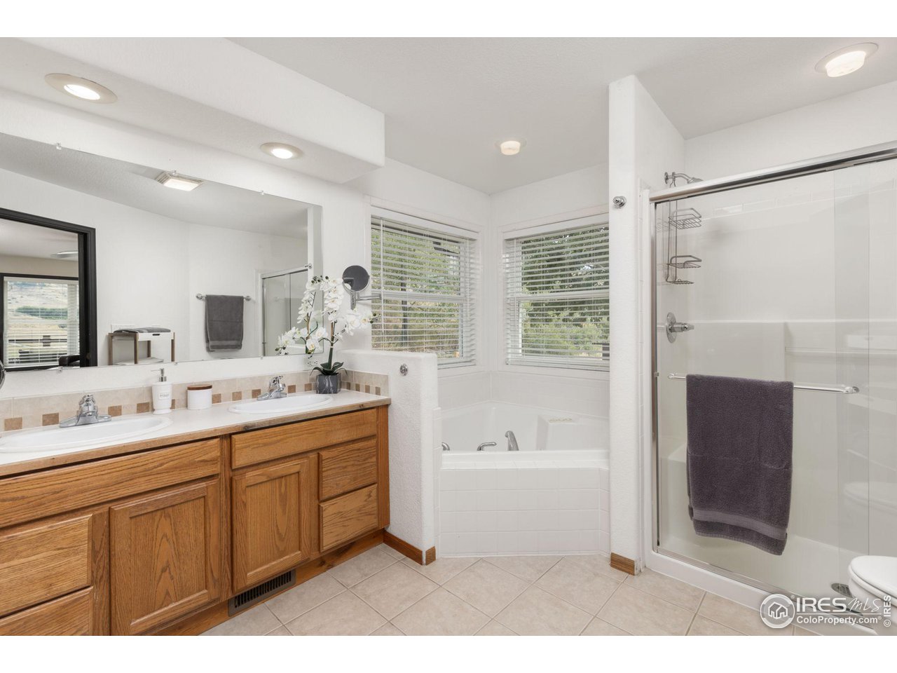 6586 Abaco Lane Berthoud, CO 80513 - Photo 14 of 40 a bathroom with a tub sink mirror and double vanity