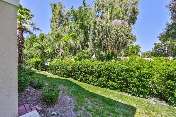 a view of a garden with plants