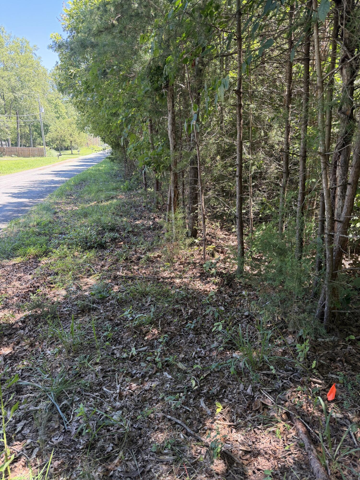 0 Country Oak Road Penhook, VA 24137 - Photo 2 of 6 84064E5C-FB79-4D4E-A960-18FB7444FD14_1_1