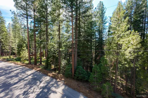 a view of a forest with trees