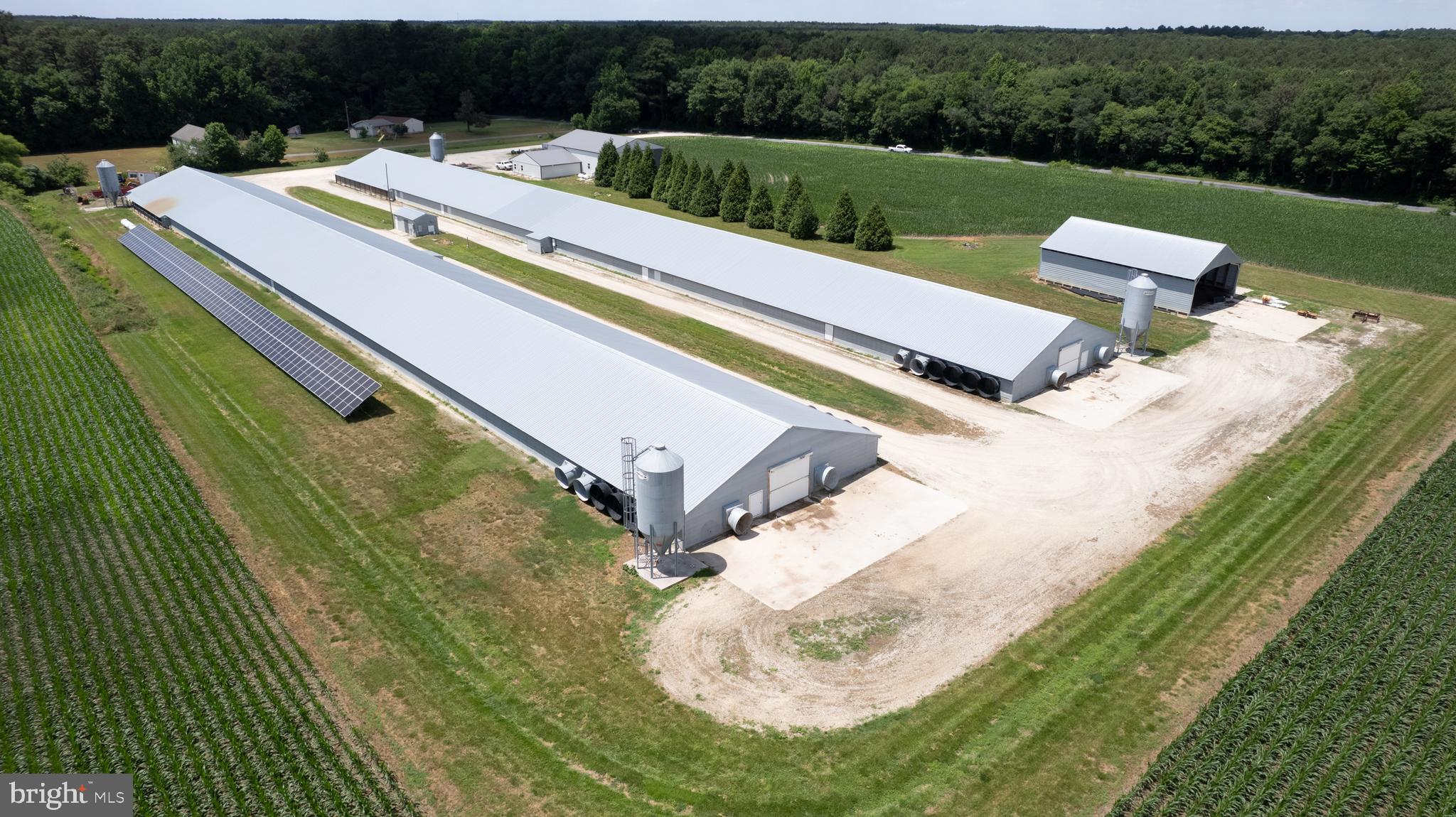 5405 Wesley Road Federalsburg, MD 21632 - Photo 11 of 18