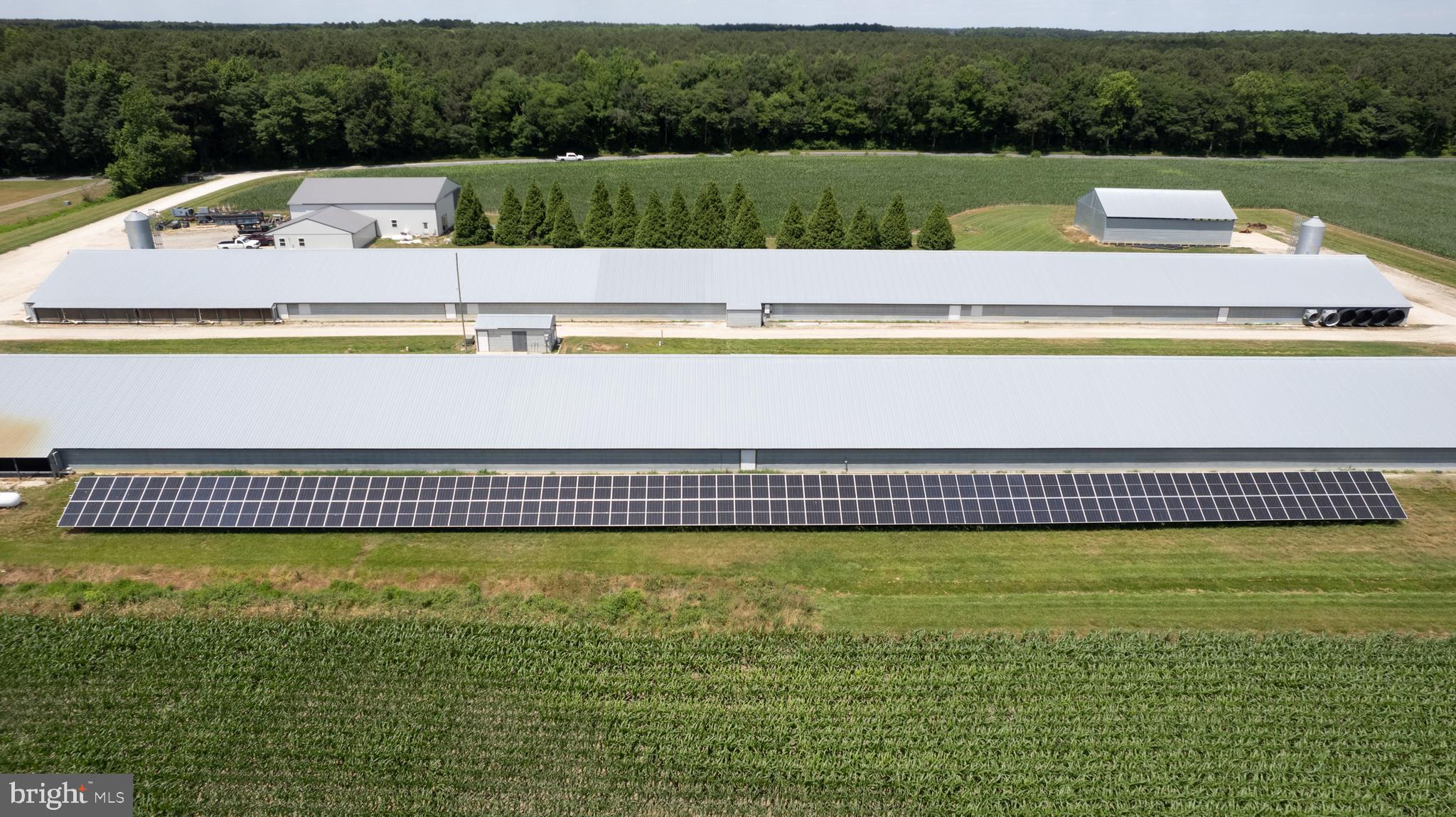 5405 Wesley Road Federalsburg, MD 21632 - Photo 13 of 18