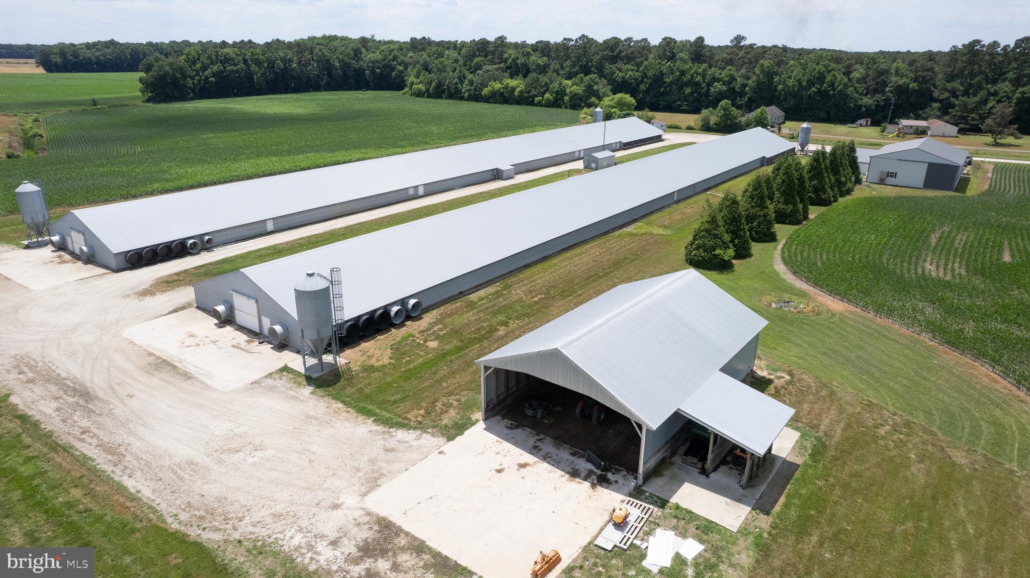 5405 Wesley Road Federalsburg, MD 21632 - Photo 14 of 18